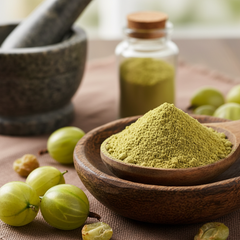 AMLA POWDER [100g]