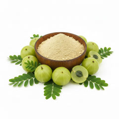 AMLA POWDER [100g]