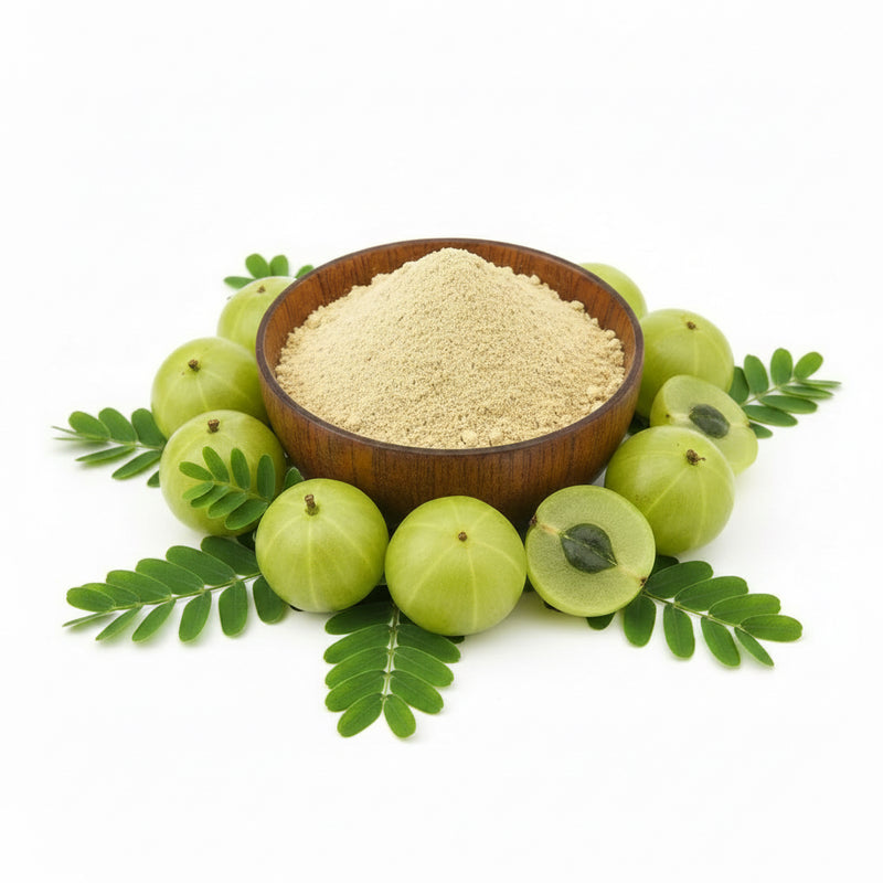 AMLA POWDER [100g]