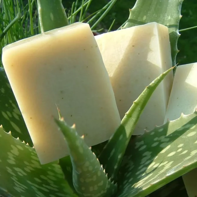 ALOEVERA SOAP [100g]