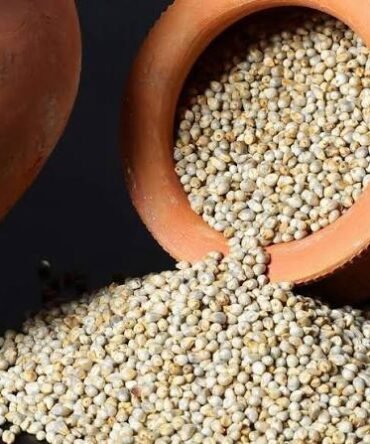 CLEANED KAMBU / PEARL MILLET